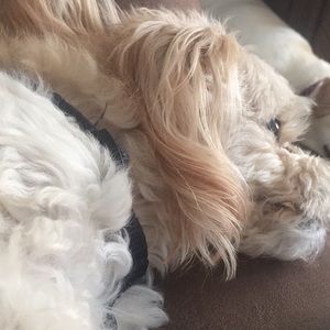 Meet your Posher, Karmen